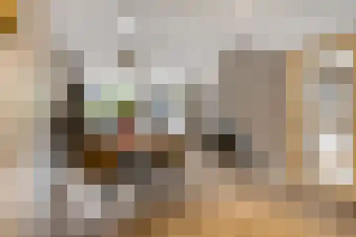 Herenhof 10 Ede thumbnail 7