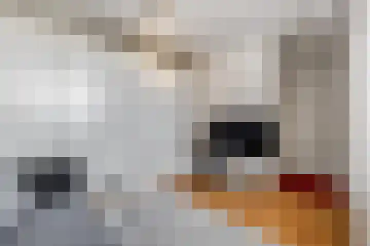 Herenhof 17 Ede thumbnail 21