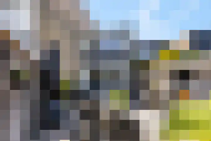 Herenhof 17 Ede thumbnail 27