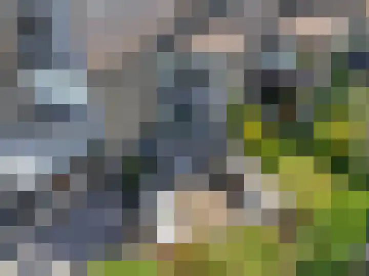 Herenhof 17 Ede thumbnail 32