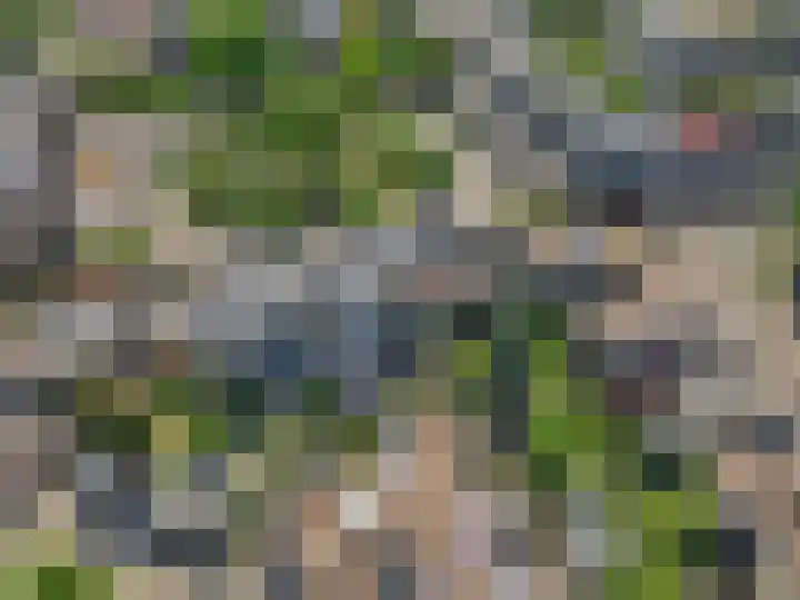 Herenhof 17 Ede thumbnail 34