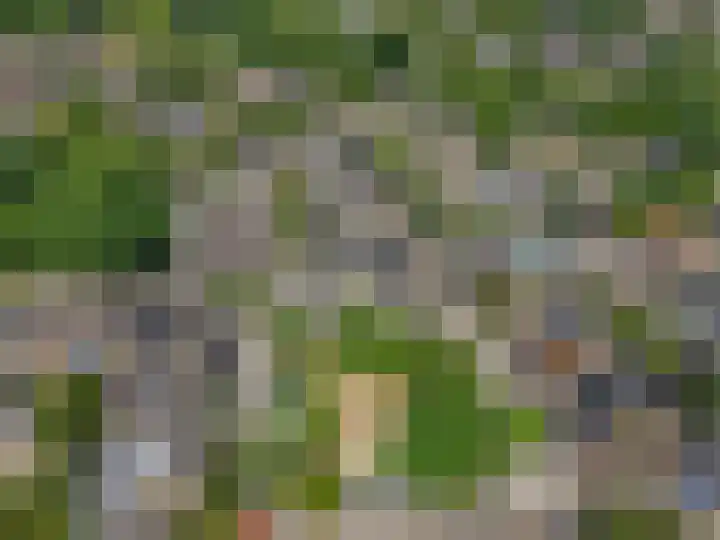 Herenhof 17 Ede thumbnail 36