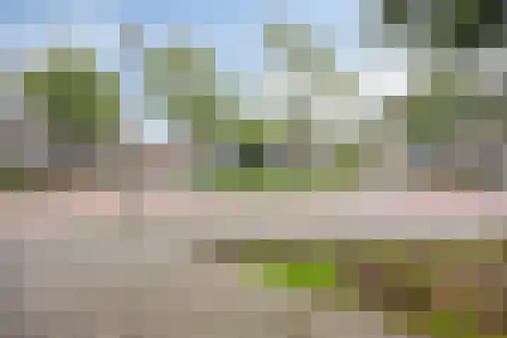 Herenlaan 112 Helmond thumbnail 35