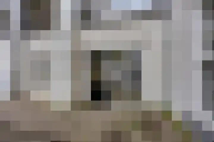 Herenlaan 112 Helmond thumbnail 8