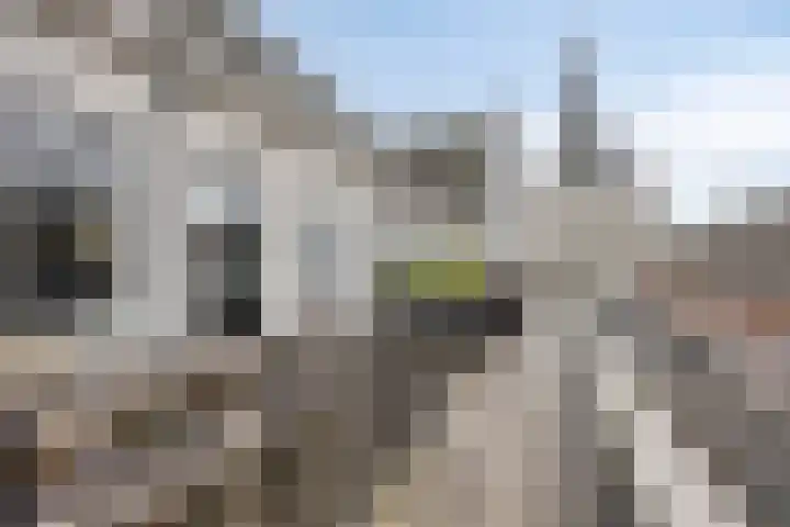 Herenlaan 112 Helmond thumbnail 9