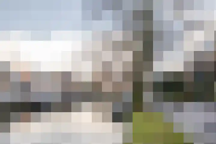 Herensingel 103 Haarlem thumbnail 52