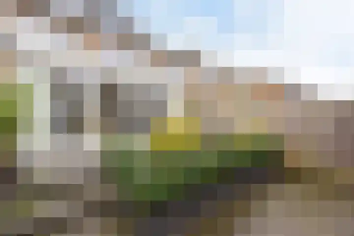 Herensingel 274 Weesp thumbnail 4