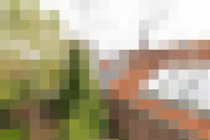 Herenstraat 38 Culemborg thumbnail 41