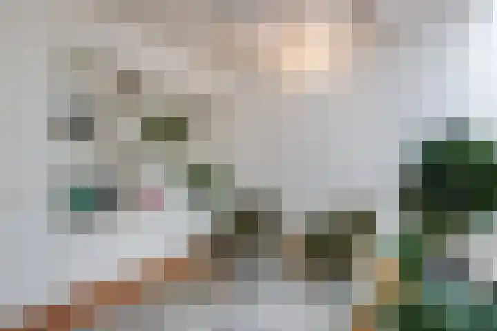 Herenstraat 40 Culemborg thumbnail 30