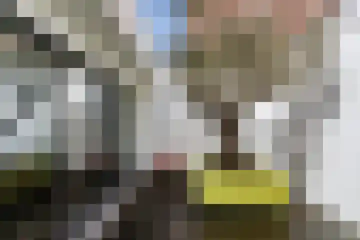 Herenstraat 40 Culemborg thumbnail 39