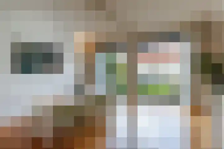 Herenstraat 40 Culemborg thumbnail 41