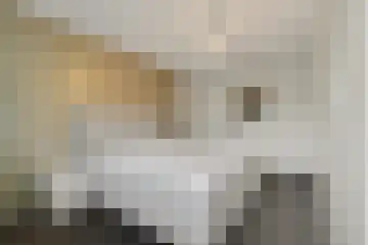 Herenstraat 54 Monster thumbnail 13