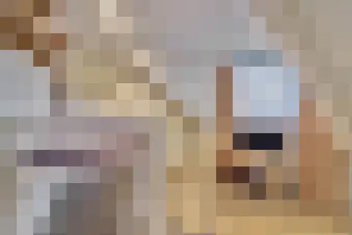 Herenstraat 54 Monster thumbnail 23