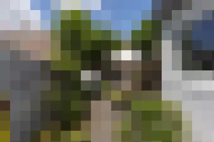 Herenstraat 6 Weesp thumbnail 6