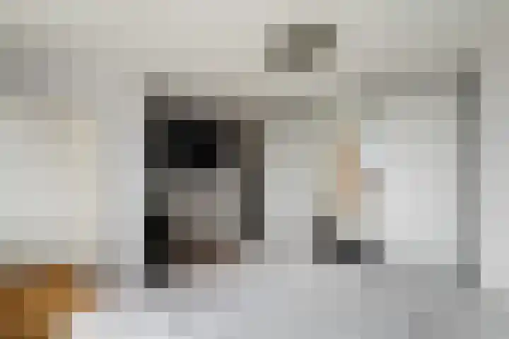 Herenstraat 65 Wateringen thumbnail 34