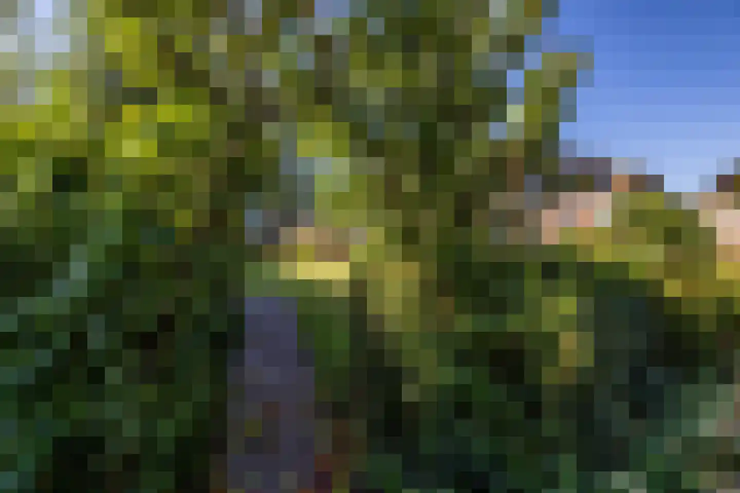 Herenstraat 67 Sappemeer thumbnail 28