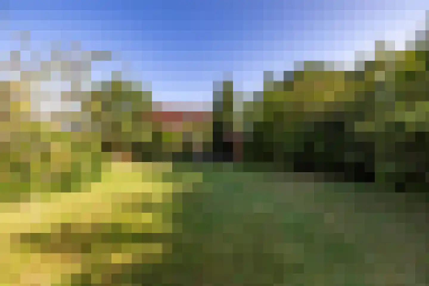 Herenstraat 67 Sappemeer thumbnail 32