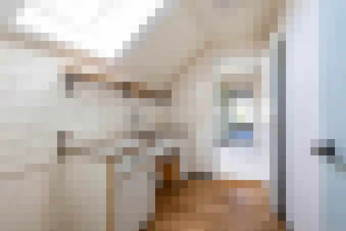 Herenstraat 67 Sappemeer thumbnail 65