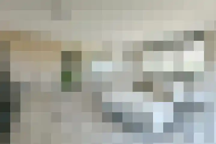 Herenweg 33 Vinkeveen thumbnail 8