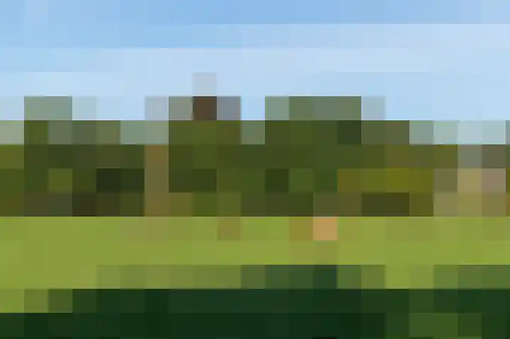 Herenweg 70 Warmond thumbnail 44