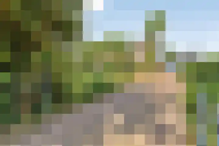 Herenweg 88 Warmond thumbnail 4