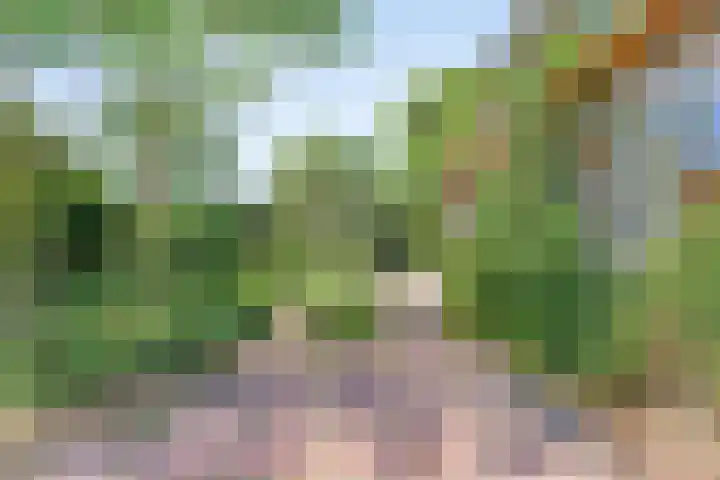 Herenweg 88 Warmond thumbnail 53