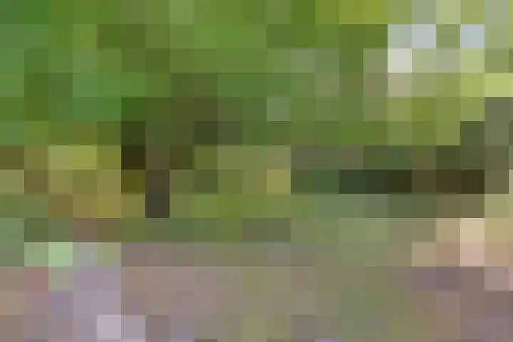 Herenweg 88 Warmond thumbnail 59