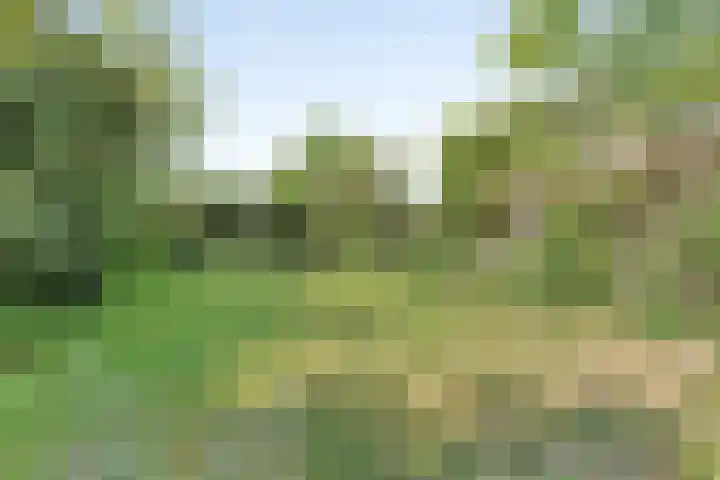 Herenweg 88 Warmond thumbnail 6