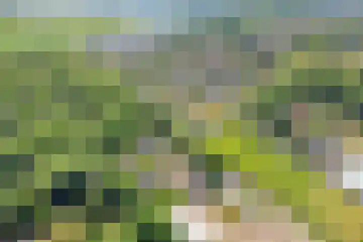 Herenweg 88 Warmond thumbnail 63