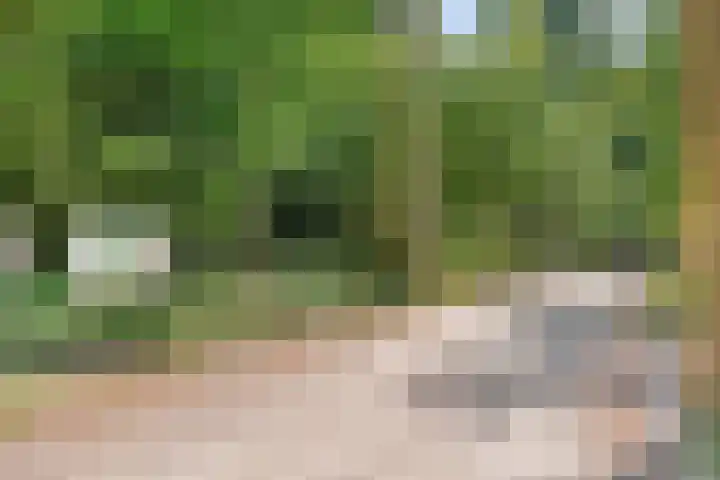 Herenweg 88 Warmond thumbnail 65