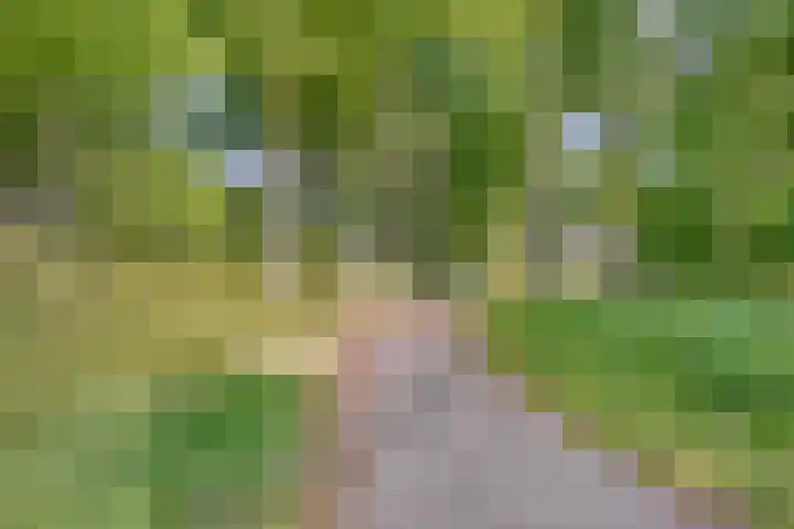 Herenweg 88 Warmond thumbnail 67
