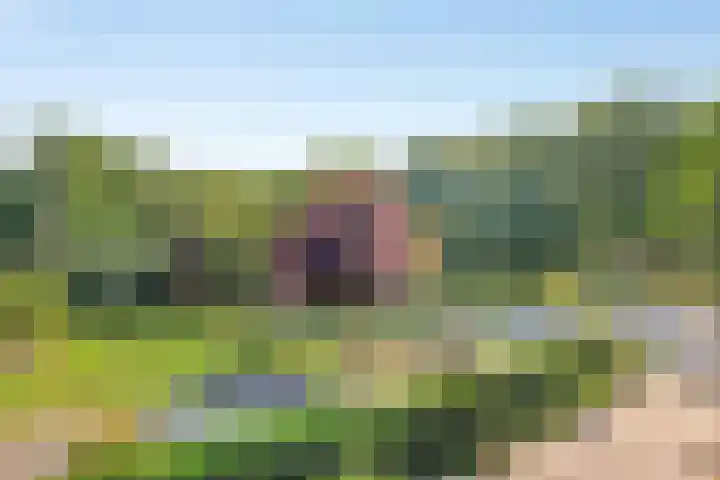Herenweg 88 Warmond thumbnail 70