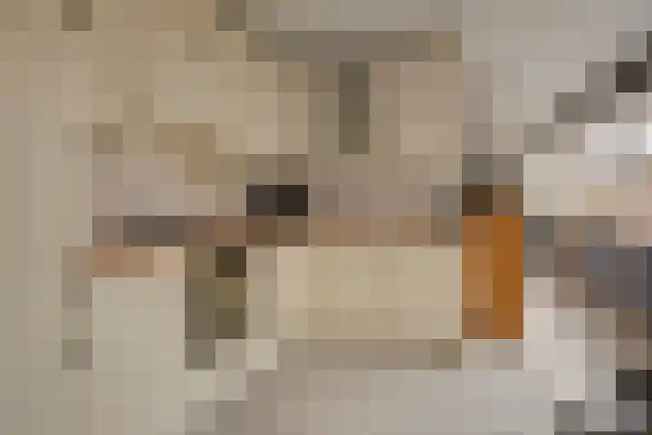 Heresstraat 11 Oude Pekela thumbnail 13