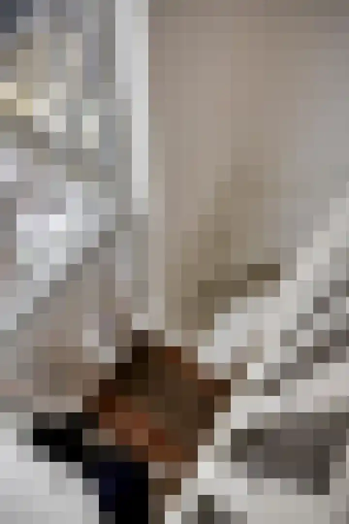 Heresstraat 11 Oude Pekela thumbnail 19