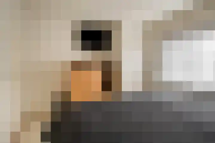 Heresstraat 11 Oude Pekela thumbnail 23