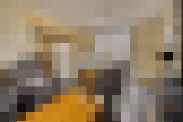 Heresstraat 11 Oude Pekela thumbnail 9