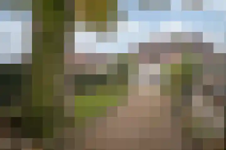 Hereweg 110 Landgraaf thumbnail 19