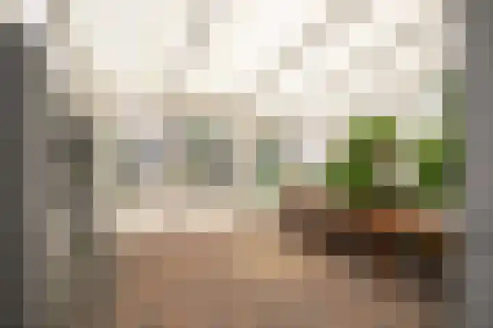 Hereweg 110 Landgraaf thumbnail 21