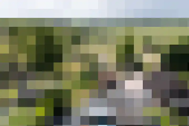Hereweg 138 Meeden thumbnail 37