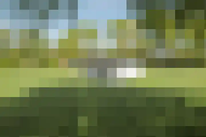 Hereweg 138 Meeden thumbnail 42