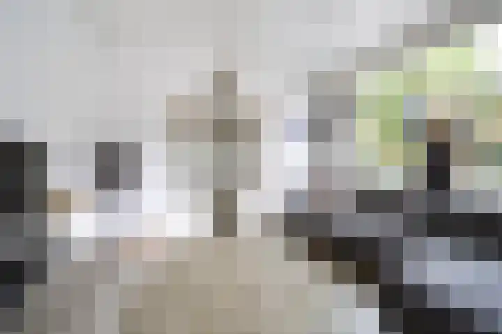 Hereweg 138 Meeden thumbnail 43