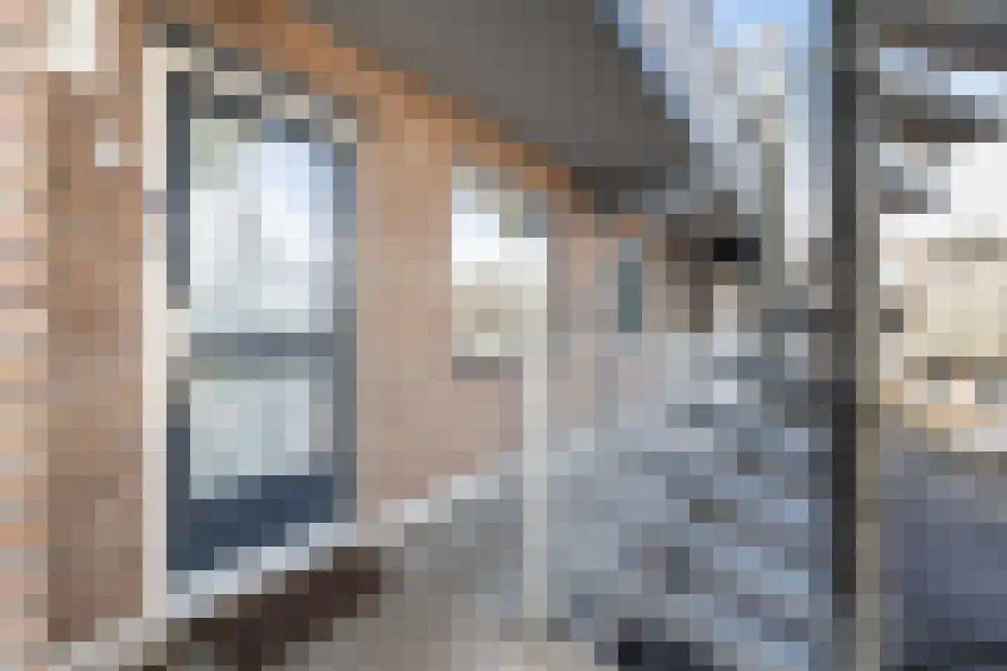 Hereweg 138 Meeden thumbnail 7