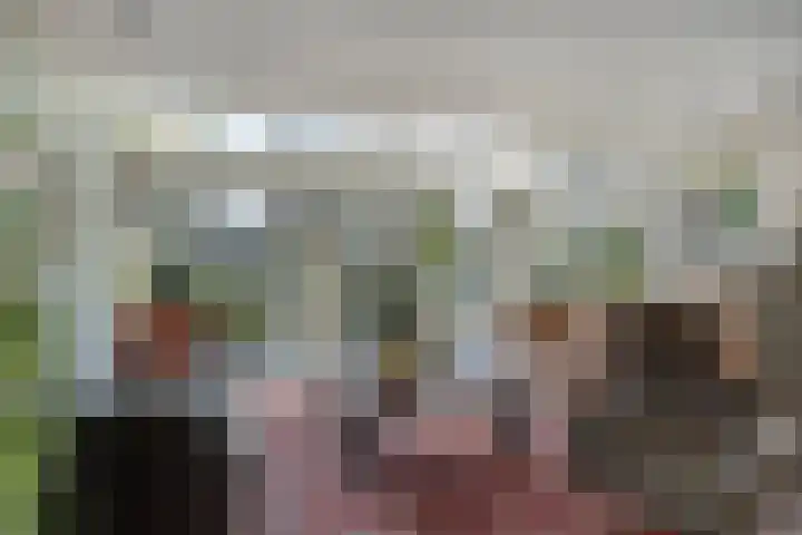 Hereweg 236 Meeden thumbnail 15