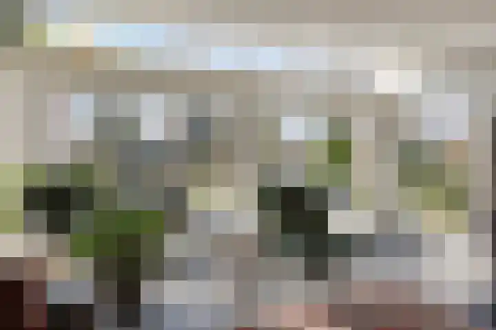 Hereweg 236 Meeden thumbnail 19