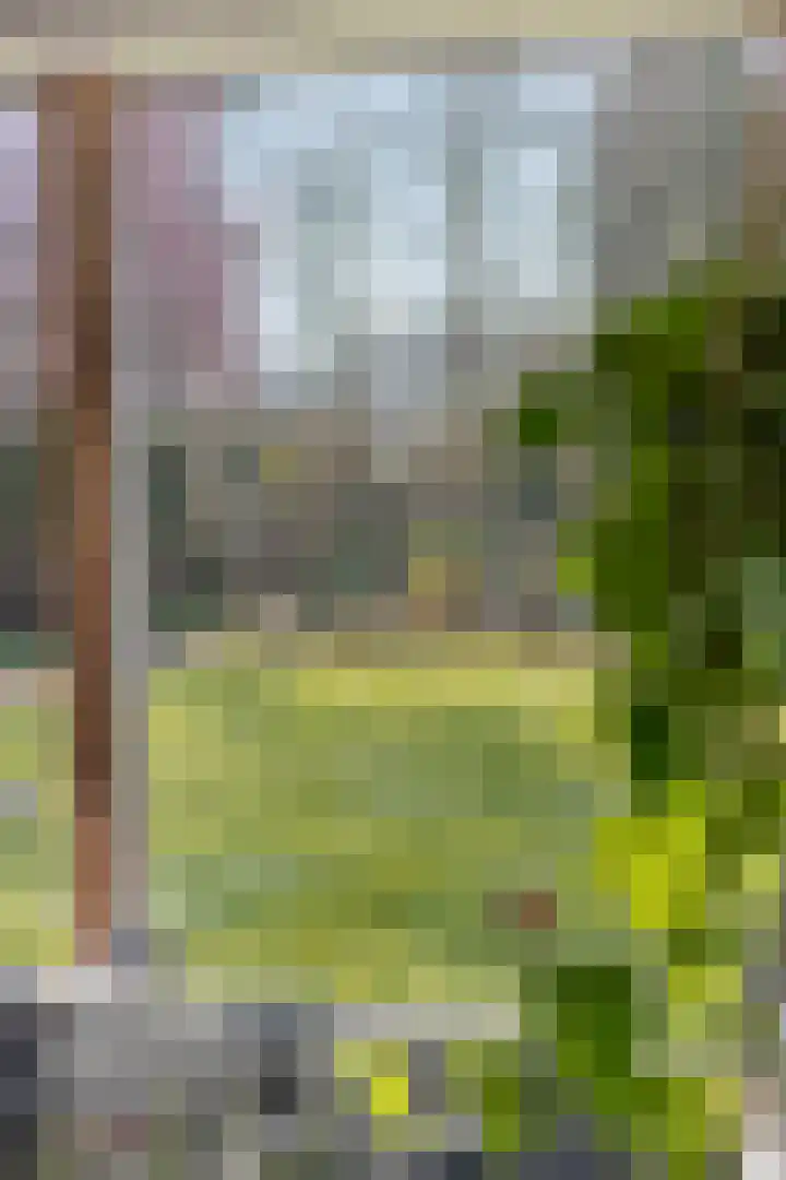Hereweg 236 Meeden thumbnail 21