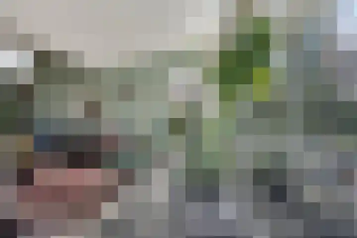 Hereweg 236 Meeden thumbnail 25