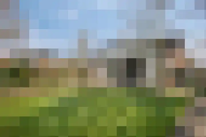 Hereweg 236 Meeden foto 3