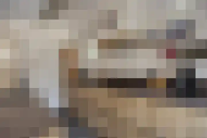 Hereweg 236 Meeden thumbnail 32