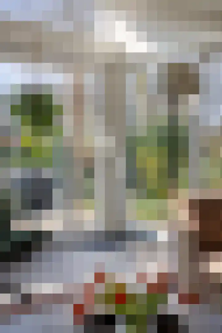 Hereweg 236 Meeden thumbnail 34