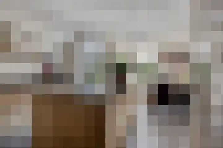 Hereweg 236 Meeden thumbnail 38